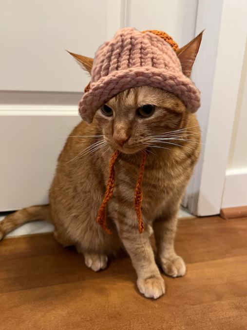 Bucket Coin Cat 3